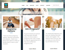 Tablet Screenshot of pregnancycarecentertn.com